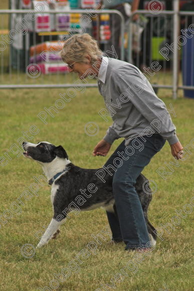 IMG 0198-01 
 Paws in the Park, 2005 MDS Shows Ltd Canford Park Arena, Poole, Dorset.