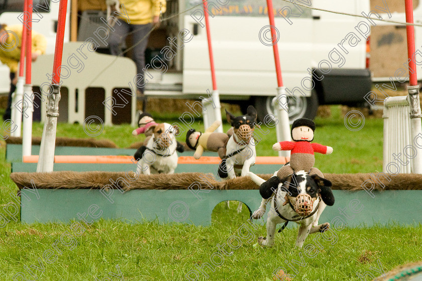 AWC 1837 
 Keywords: England, Lynch Field, UK, Wanborough, Wiltshire, arena demonstration, arena display, cyril the squirrel, terrier racing, wanborough country show