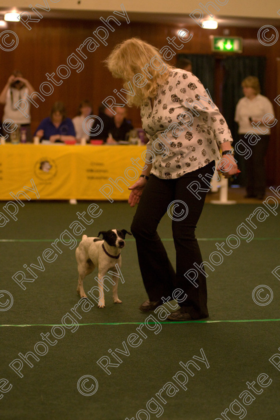 AWC 1651 
 Keywords: 2010, Iris Maxfield, april, competition, heelwork to music, starters heelwork to music part 1, west glen