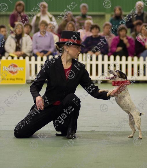 IMG 0094 
 Heelwork to Music and Canine Freestyle events and competition in 2006 held at the Connexion Leisure Centre, Ryton-on-Dunsmore, Coventry. 
 Keywords: 2006, UK, competition, coventry, dog, dog dancing, dog sport, february, heelwork to music, k9freestyle, ryton on dunsmore