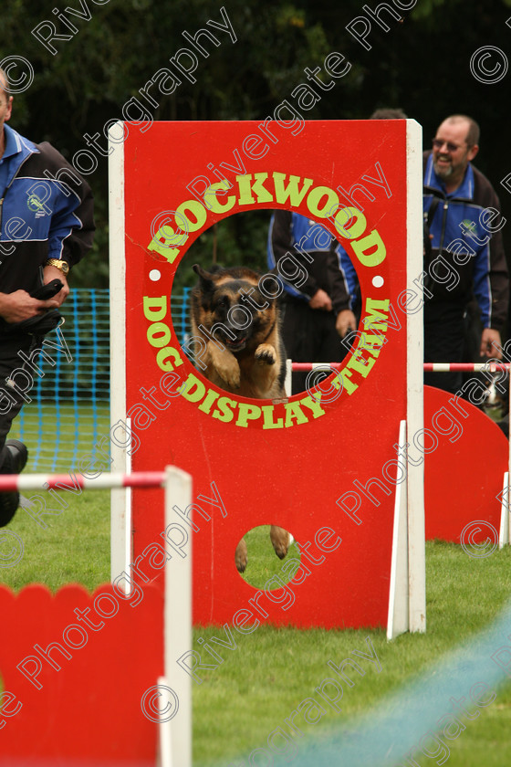 AWC 7590 
 Keywords: ANIMAL HEALTH TRUST, Gala Day, KENTFORD, Lanwades Park, Newmarket, Suffolk, rockwood dog display team