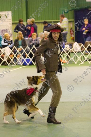 IMG 6345 
 Keywords: 2008, K9 Freestyle, Rugby DTC, canine freestyle, competition, connexions leisure centre, coventry, dancing dogs, february, heelwork to music, , ryton on dunsmore