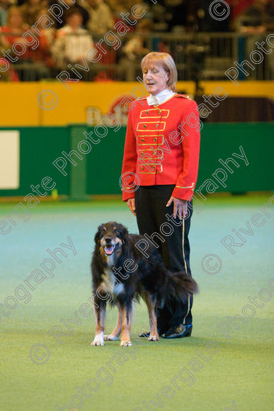 IMG 7480 
 Mary Muxworthy performing Advanced Heelwork to Music at the Crufts competition at the NEC Arena in Birmingham in March 2008 
 Keywords: 2008, Arena, Collywobble Cenltic Harry, Display, NEC, WS, Working Sheep dog, birmingham, canine freestyle, crufts, dancing, dogs, heelwork to music, htm, march, mary muxworthy, performance