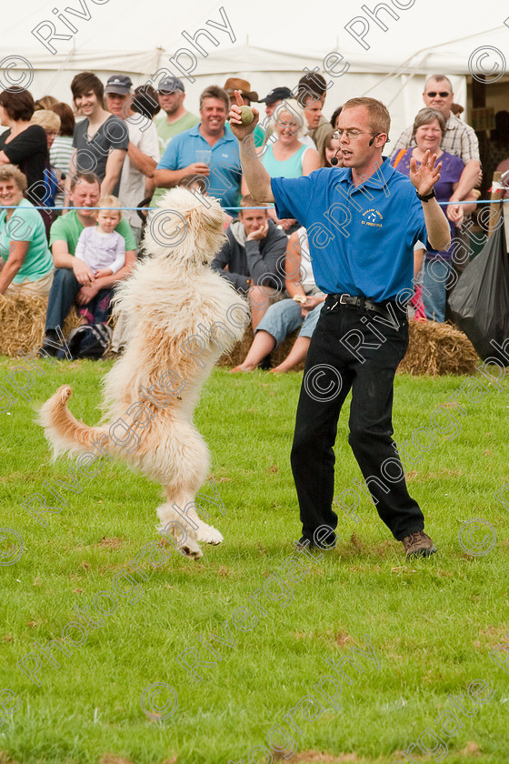 AWC 1387 
 Wanborough Country Show, August 2009, Richard Curtis' K9freestyle Dancing Dog Arena Display 
 Keywords: 2009, arena demonstration, arena display, august, canine freestyle, dog dancing, dog display, England, heelwork to music, k9freestyle, Lynch Field, Lynch Field, Wanborough, Wiltshire, England, UK, richard curtis, UK, wanborough country show, Wanborough, Wiltshire