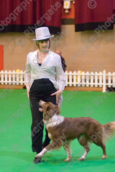 IMG 8634 
 Heelwork to Music and Canine Freestyle Competitions held at Westglen in April 2008 
 Keywords: 2008, Bilford Road, Perdiswell Leisure Centre, WR3 8DX, Worcester, april, cath hardman, competition, heelwork to music, westglen, kath hardman, advanced, htm