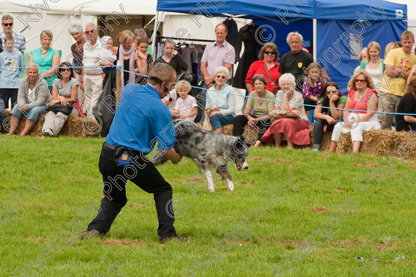 AWC 1483 
 Wanborough Country Show, August 2009, Richard Curtis' K9freestyle Dancing Dog Arena Display 
 Keywords: 2009, arena demonstration, arena display, august, canine freestyle, dog dancing, dog display, England, heelwork to music, k9freestyle, Lynch Field, Lynch Field, Wanborough, Wiltshire, England, UK, richard curtis, UK, wanborough country show, Wanborough, Wiltshire