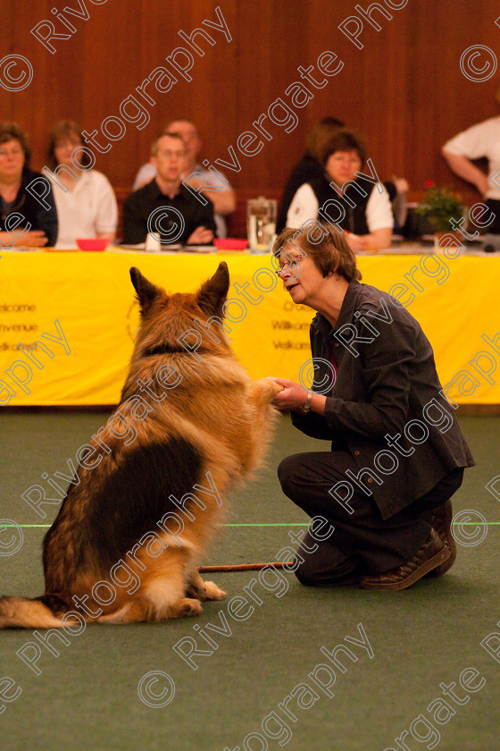 AWC 2510 
 Keywords: 2010, Advanced Freestyle Part 1, april, heelwork to music, sue betteridge, westglen