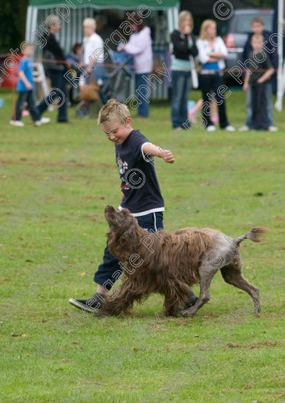 IMG 1139 
 Earls Barton Carnival, Richard Curtis arena display performance and demonstration 
 Keywords: child, kid, boy, working dog dog, disco, portuguese water dog, heelwork, working, display, green grass, demonstration, crowd