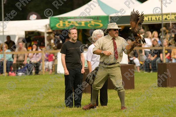 IMG 3076 
 Hatfield House Country Show 2008 Birds of Prey and Falconry 
 Keywords: Hatfield House Country Show, Birds of Prey, Falconry, Arena Demonstration, James McKay and son.