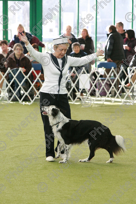 AWC 0701 
 Keywords: heelwork to music competition, rugby dog club