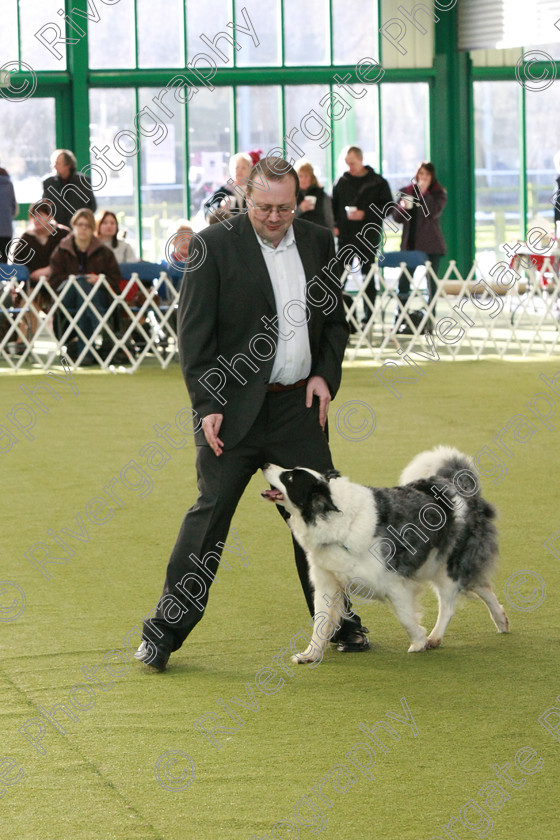 AWC 0665 
 Keywords: heelwork to music competition, rugby dog club