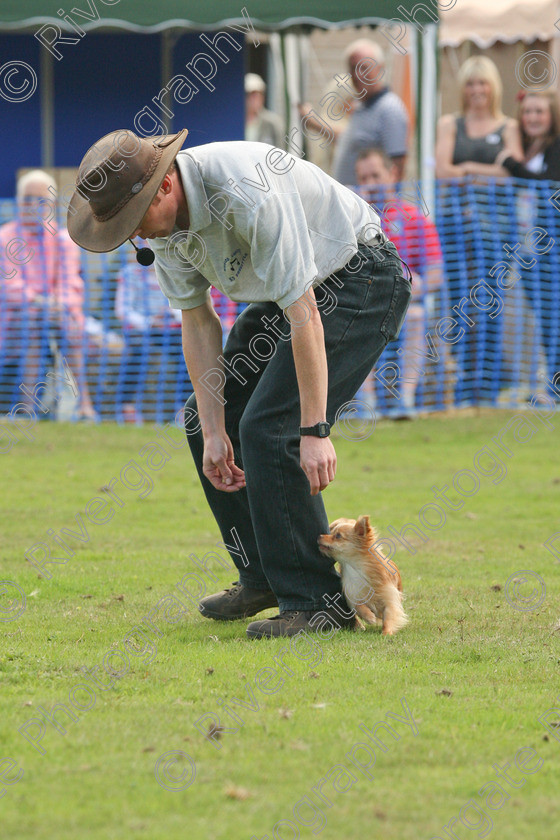 AWC 7074 
 Keywords: 2010, Chobham, Millbrook Animal Centre, RSPCA, Richard Curtis, arena demonstration, september