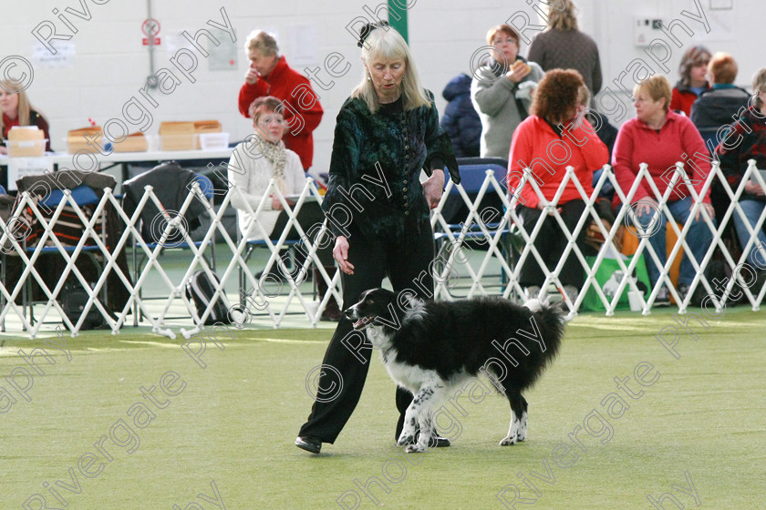 AWC 0552 
 Keywords: heelwork to music competition, rugby dog club