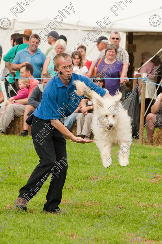 AWC 1377 
 Wanborough Country Show, August 2009, Richard Curtis' K9freestyle Dancing Dog Arena Display 
 Keywords: 2009, arena demonstration, arena display, august, canine freestyle, dog dancing, dog display, England, heelwork to music, k9freestyle, Lynch Field, Lynch Field, Wanborough, Wiltshire, England, UK, richard curtis, UK, wanborough country show, Wanborough, Wiltshire