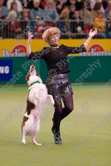 IMG 7321 
 Crufts Heelwork to Music and Canine Freestyle Competition Finals 
 Keywords: 2008, Arena, Display, NEC, WS, birmingham, canine freestyle, crufts, dancing, dogs, heelwork to music, htm, kath hardman, march, performance, reflections of ginger, working sheepdog