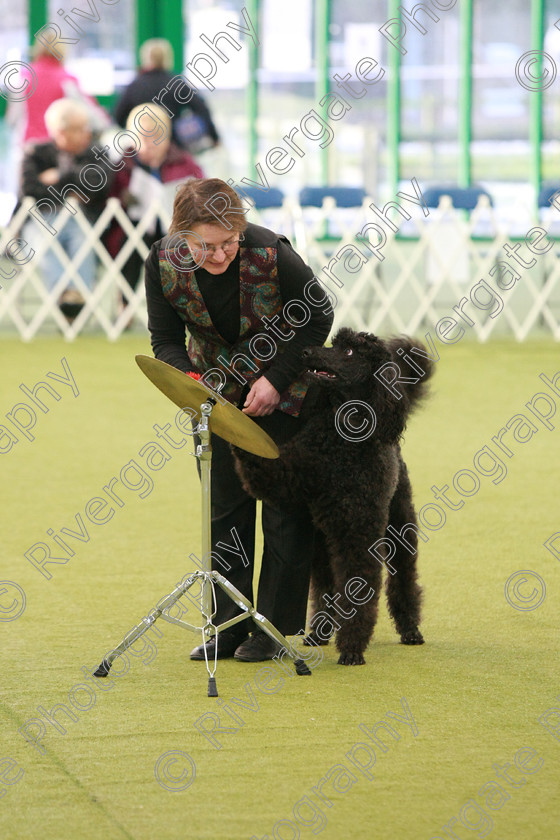 AWC 0252 
 Keywords: heelwork to music competition, rugby dog club