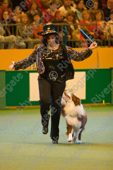 IMG 7362 
 Ann De Rizzio with Stillmoor Touch of Spice performing at Crufts 2008 in the Arena at the NEC Birmingham 
 Keywords: 2008, Arena, BC, Display, NEC, Stillmoor Touch of Spice, ann de rizzio, birmingham, border collie, canine freestyle, crufts, dancing, dogs, heelwork to music, htm, march, performance