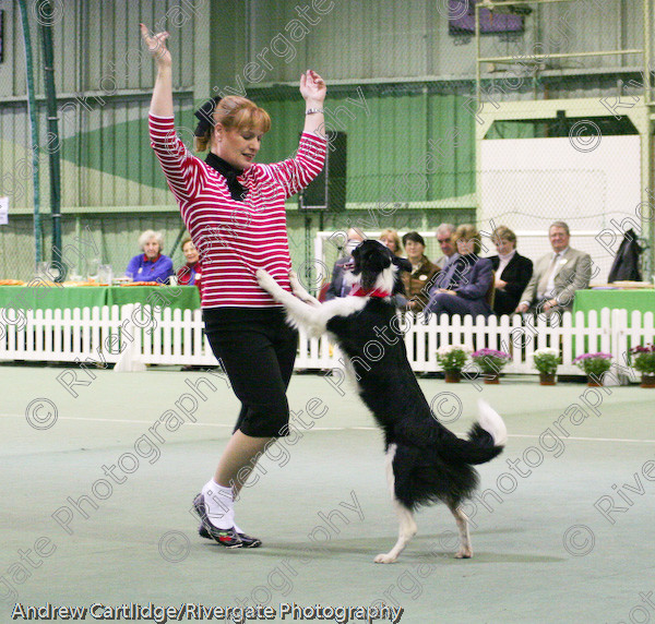 IMG 1068 
 Heelwork to Music and Canine Freestyle events and competition in 2005 held at the Connexion Leisure Centre, Ryton-on-Dunsmore, Coventry. 
 Keywords: 2005, UK, competition, coventry, dog, dog dancing, dog sport, february, heelwork to music, k9freestyle, ryton on dunsmore