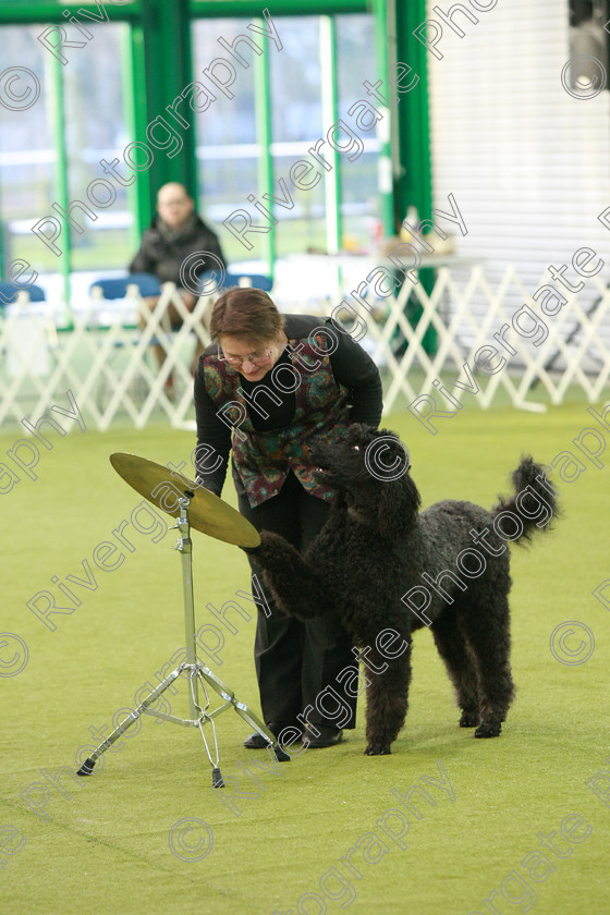 AWC 0236 
 Keywords: heelwork to music competition, rugby dog club