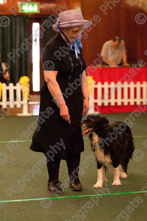 AWC 2206 
 Keywords: 2010, april, competition, heelwork to music, novice heelwork to music part 1, pat sidaway, west glen