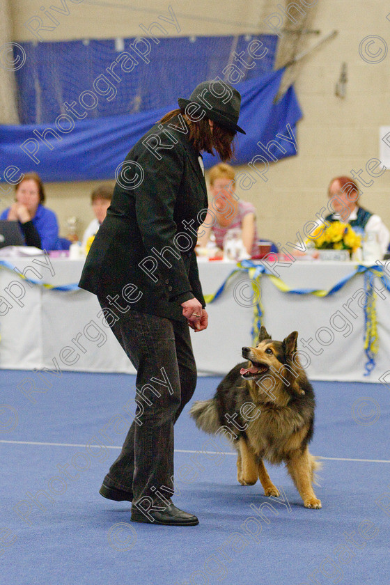 AWC 6473 
 Keywords: 2009, Barnard Castle, Blackgold Nelson, County Durham, DL12 8DS, Judges: Jackie Clarke, May, Northern Mutts N Music, Royal Canin, Starters Freestyle, Strathmore Road, Teesdale Sports Centre, Vera Sermon, border collie, canine freestyle, competition, heelwork to music