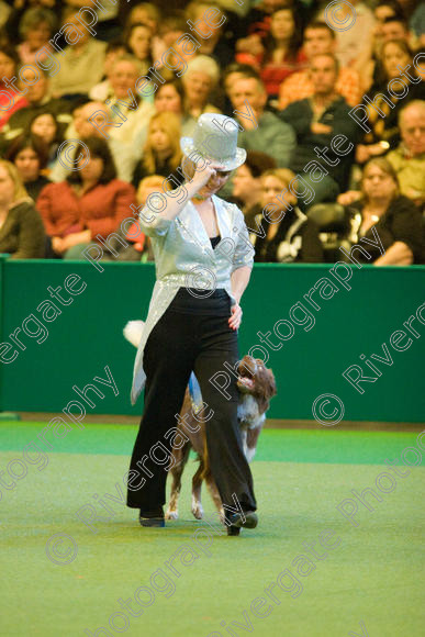 IMG 7556 
 Keywords: 2008, Arena, Display, NEC, birmingham, canine freestyle, crufts, dancing, dogs, heelwork to music, htm, march, performance