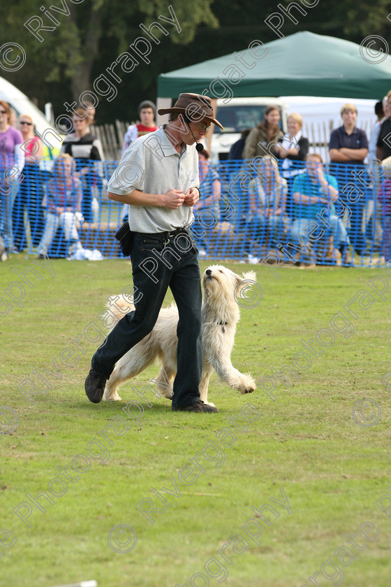 AWC 7014 
 Keywords: 2010, Chobham, Millbrook Animal Centre, RSPCA, Richard Curtis, arena demonstration, september