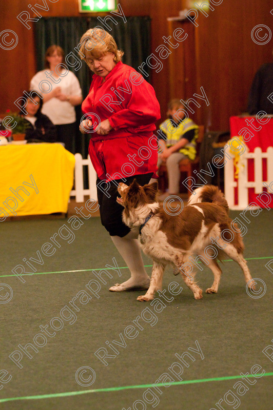 AWC 2904 
 Keywords: 2010, Novice Freestyle Part 1, april, heelwork to music, pat parsons, westglen