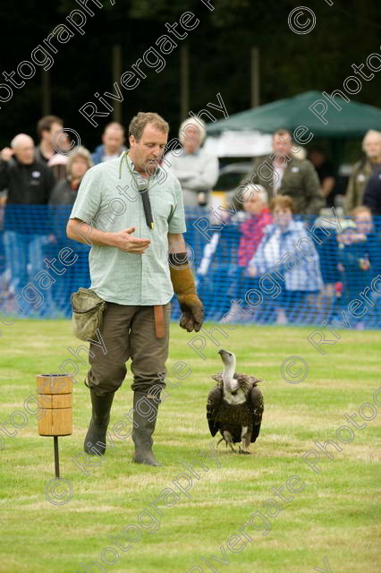 AWC 0075 
 RSPCA Milbrook, Chobham, Woking, 2005, arena demonstrations and displays, charity 
 Keywords: Ruppell's Griffon Vulture, chris o'donnell, dyson, hawk experience, millbrook, woking