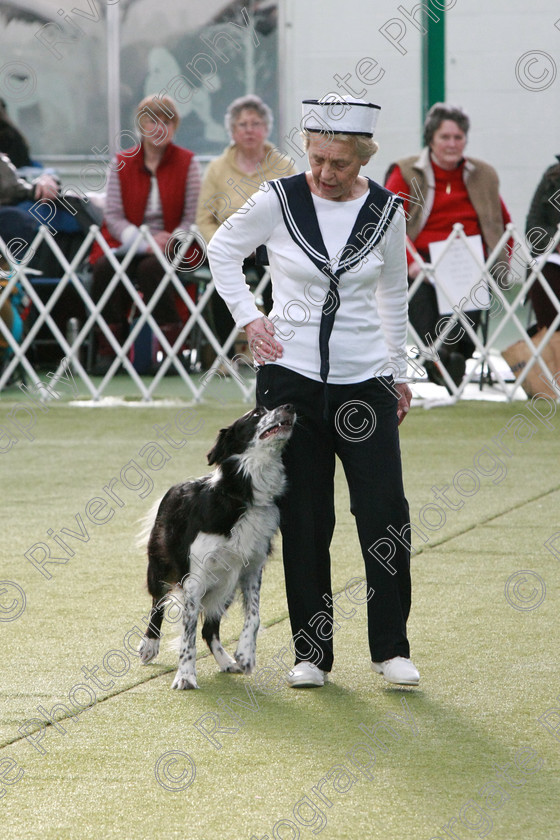 AWC 0678 
 Keywords: heelwork to music competition, rugby dog club