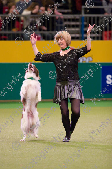 IMG 7319 
 Crufts Heelwork to Music and Canine Freestyle Competition Finals 
 Keywords: 2008, Arena, Display, NEC, WS, birmingham, canine freestyle, crufts, dancing, dogs, heelwork to music, htm, kath hardman, march, performance, reflections of ginger, working sheepdog