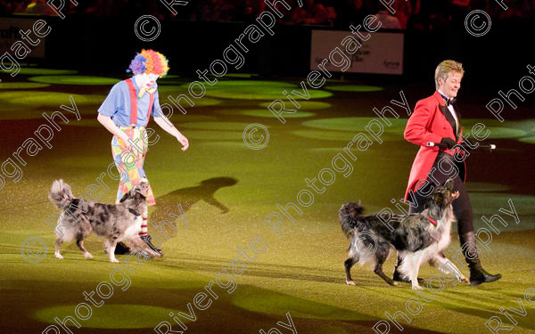 IMG 8245 
 Keywords: 2008, Arena, Display, NEC, birmingham, canine freestyle, crufts, dancing, dogs, heelwork to music, htm, march, performance