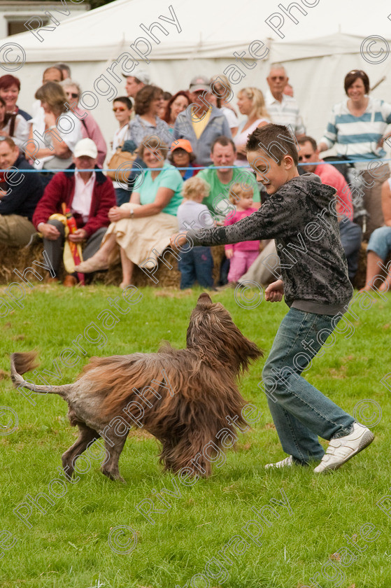 AWC 1434 
 Wanborough Country Show, August 2009, Richard Curtis' K9freestyle Dancing Dog Arena Display 
 Keywords: 2009, arena demonstration, arena display, august, canine freestyle, dog dancing, dog display, England, heelwork to music, k9freestyle, Lynch Field, Lynch Field, Wanborough, Wiltshire, England, UK, richard curtis, UK, wanborough country show, Wanborough, Wiltshire