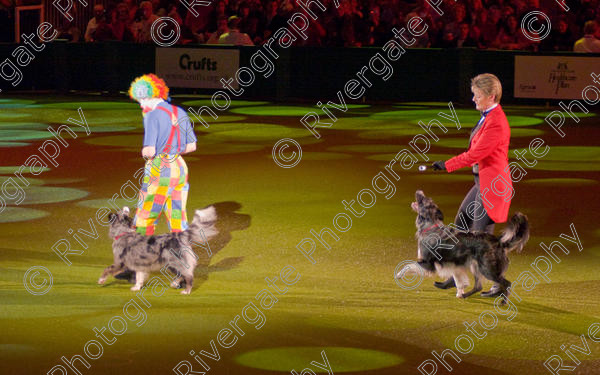 IMG 8248 
 Keywords: 2008, Arena, Display, NEC, birmingham, canine freestyle, crufts, dancing, dogs, heelwork to music, htm, march, performance