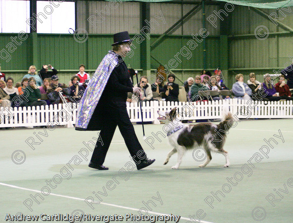 IMG 1057 
 Heelwork to Music and Canine Freestyle events and competition in 2005 held at the Connexion Leisure Centre, Ryton-on-Dunsmore, Coventry. 
 Keywords: 2005, UK, competition, coventry, dog, dog dancing, dog sport, february, heelwork to music, k9freestyle, ryton on dunsmore