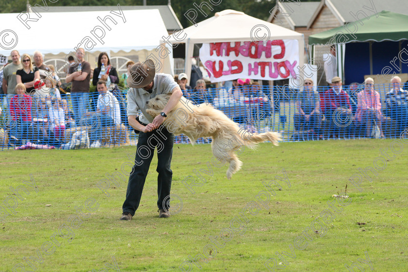 AWC 7006 
 Keywords: 2010, Chobham, Millbrook Animal Centre, RSPCA, Richard Curtis, arena demonstration, september