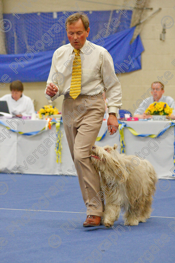 AWC 6150 
 Keywords: 2009, Advanced Heelwork to Music, Barnard Castle, Bramble Sweet, County Durham, Crufts Semi-final Qualifier, DL12 8DS, May, Northern Mutts N Music, Royal Canin, Soul Lady, Strathmore Road, Teesdale Sports Centre, barry bray, bearded collie, canine freestyle, competition, heelwork to music