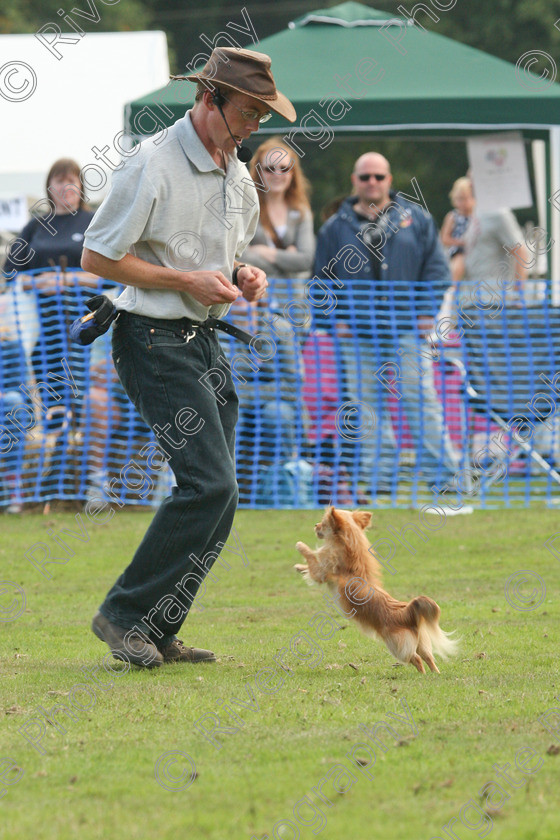 AWC 7105 
 Keywords: 2010, Chobham, Millbrook Animal Centre, RSPCA, Richard Curtis, arena demonstration, september