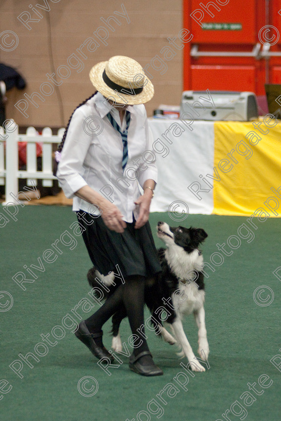 AWC 3707 
 Keywords: 2009, England, UK, Worcester, Worcestershire, april, competition, heelwork to music, sue betteridge, westglen