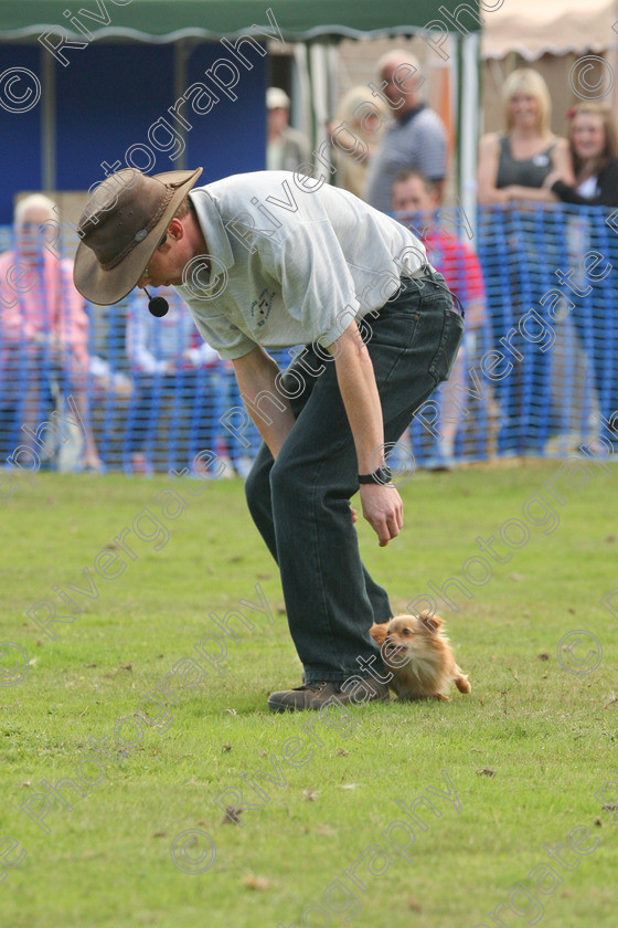 AWC 7073 
 Keywords: 2010, Chobham, Millbrook Animal Centre, RSPCA, Richard Curtis, arena demonstration, september