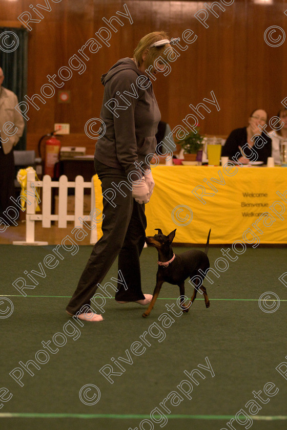 AWC 1675 
 Keywords: 2010, april, christine dunning, competition, heelwork to music, starters heelwork to music part 1, west glen