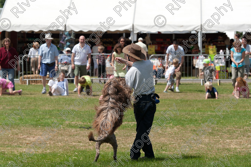 AWC 5102 
 Keywords: 2010, Ardingly, Demonstration, Richard Curtis, Smallholders Show, july, k9freestyle arena display