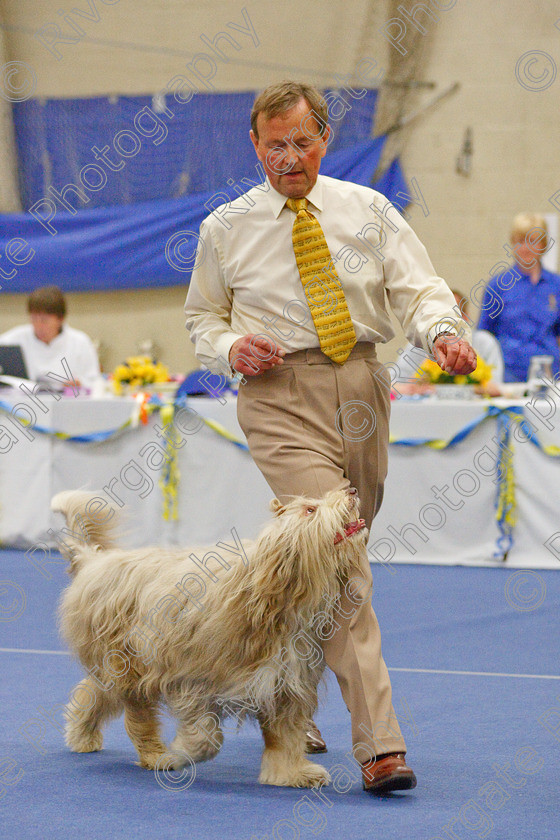 AWC 6152 
 Keywords: 2009, Advanced Heelwork to Music, Barnard Castle, Bramble Sweet, County Durham, Crufts Semi-final Qualifier, DL12 8DS, May, Northern Mutts N Music, Royal Canin, Soul Lady, Strathmore Road, Teesdale Sports Centre, barry bray, bearded collie, canine freestyle, competition, heelwork to music