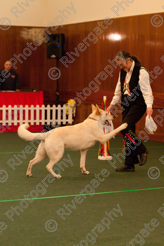 AWC 2432 
 Keywords: 2010, Sheila Waller, Starters Freestyle Part 2, april, heelwork to music, westglen