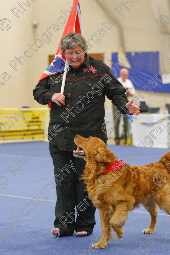 AWC 5764 
 Keywords: 2009, Barnard Castle, Bennett, Chris, County Durham, DL12 8DS, Jenakir Go For Gold, May, Northern Mutts N Music, Novice Heelwork to Music, Royal Canin, Strathmore Road, Teesdale Sports Centre, canine freestyle, competition, golden retriever, heelwork to music