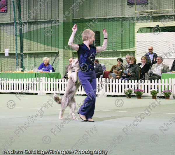 IMG 0979 
 Heelwork to Music and Canine Freestyle events and competition in 2005 held at the Connexion Leisure Centre, Ryton-on-Dunsmore, Coventry. 
 Keywords: 2005, UK, cath hardman, competition, coventry, dog, dog dancing, dog sport, february, heelwork to music, k9freestyle, ryton on dunsmore