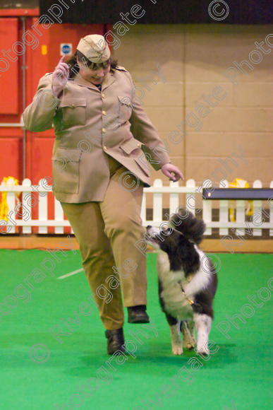 IMG 8615 
 Heelwork to Music and Canine Freestyle Competitions held at Westglen in April 2008 
 Keywords: 2008, Bilford Road, Perdiswell Leisure Centre, WR3 8DX, Worcester, april, competition, heelwork to music, westglen, jackie de jong, advanced, htm