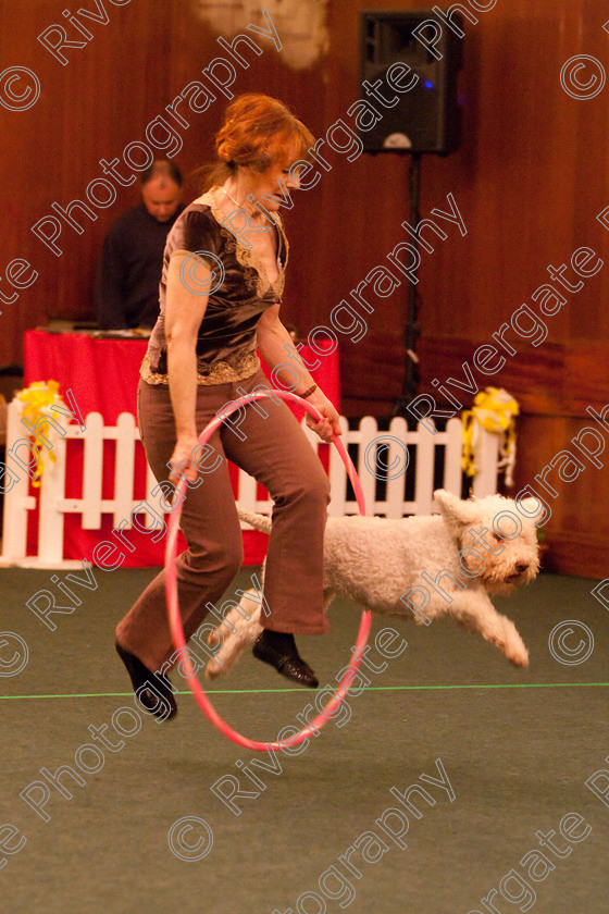 AWC 2803 2 
 Keywords: 2010, Intermediate Freestyle Part 2, april, eileen crowther, heelwork to music, westglen