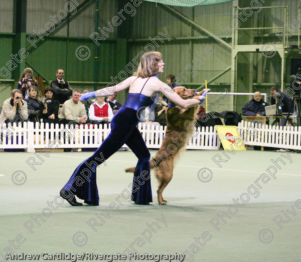 IMG 1130 
 Heelwork to Music and Canine Freestyle events and competition in 2005 held at the Connexion Leisure Centre, Ryton-on-Dunsmore, Coventry. 
 Keywords: 2005, UK, competition, coventry, dog, dog dancing, dog sport, february, heelwork to music, k9freestyle, ryton on dunsmore