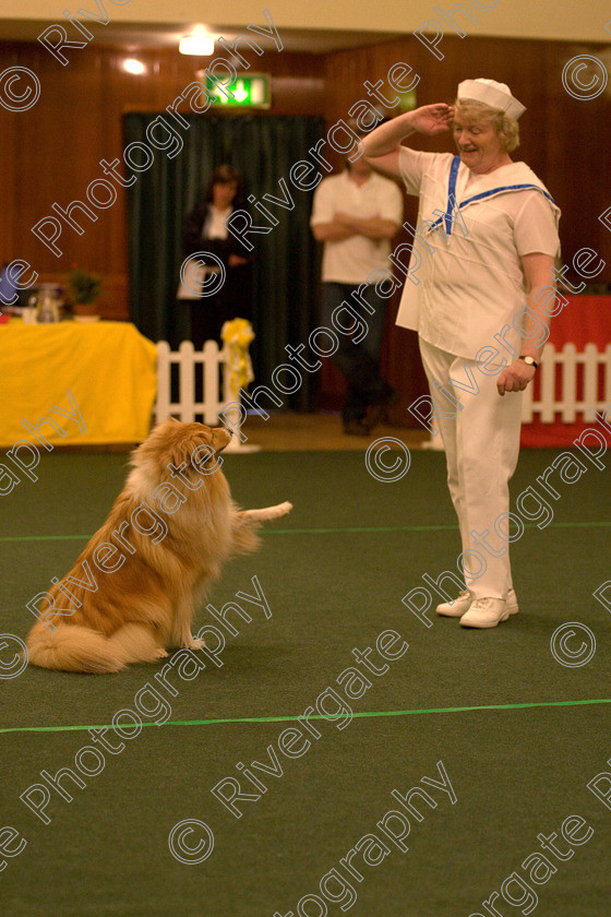 AWC 1708 
 Keywords: 2010, april, competition, heelwork to music, jenny knudson, starters heelwork to music part 2, west glen